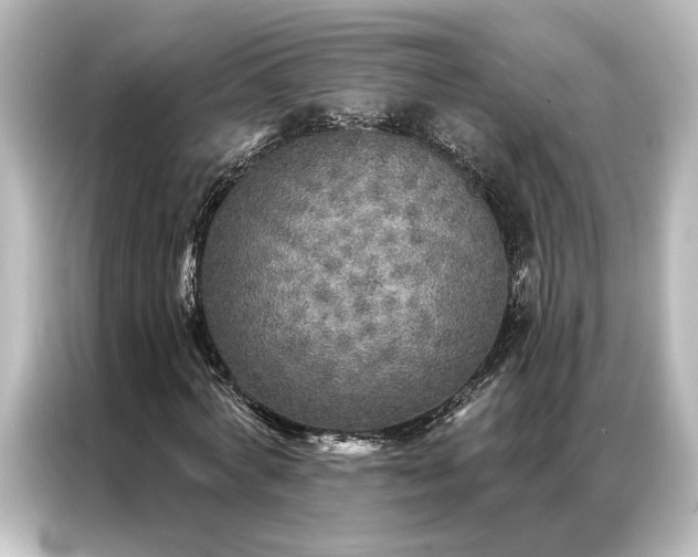 X0000087040772200705021136