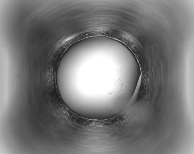 X0000087040773200705021136