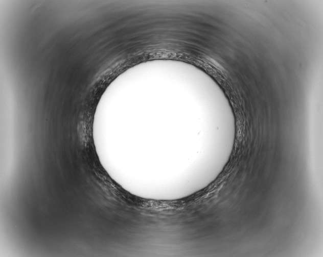 X0000087040774200705021136