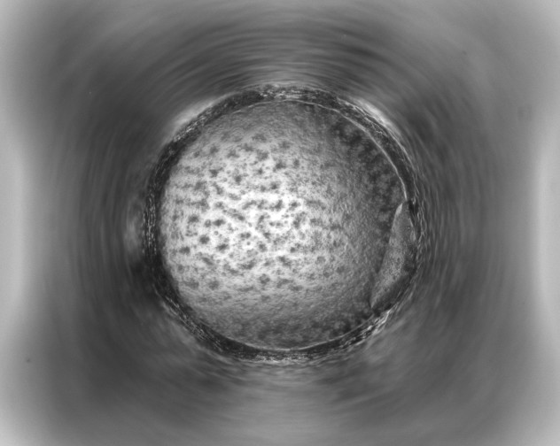 X0000087040775200705021136