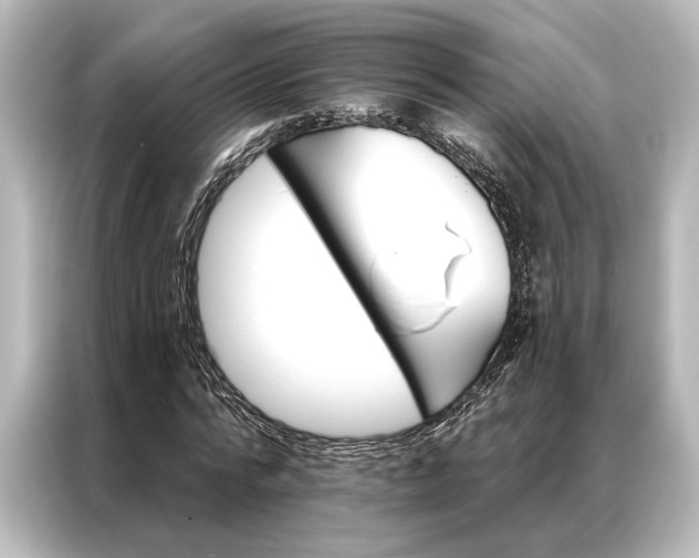 X0000087040776200705021136