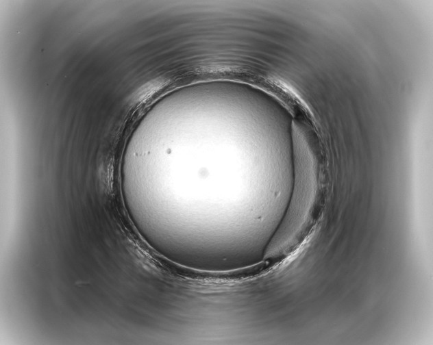X0000087040777200705021136
