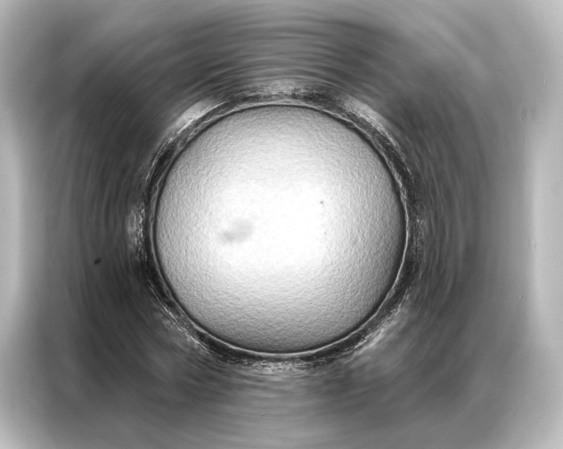 X0000087040778200705021136