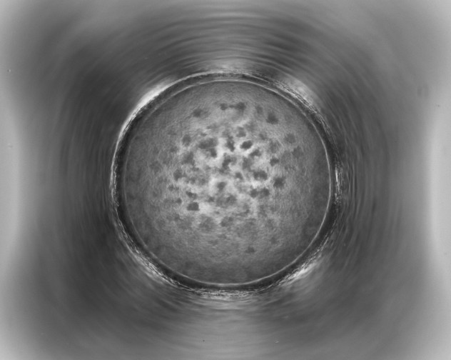 X0000087040780200705021136
