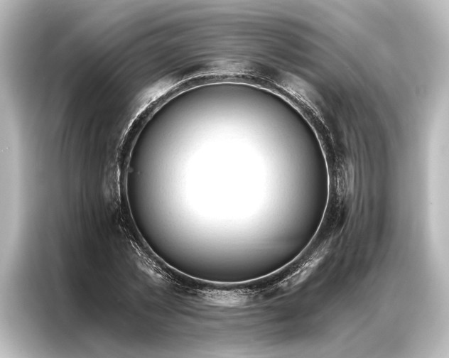 X0000087040781200705021136