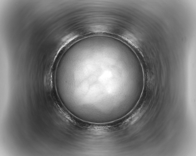 X0000087040782200705021136