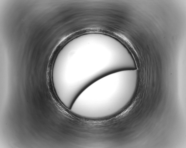 X0000087040783200705021136