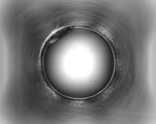 X0000087040784200705021136