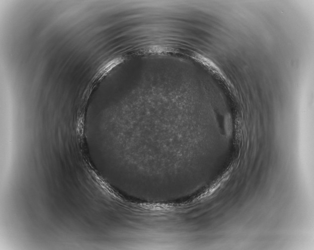 X0000087040785200705021136