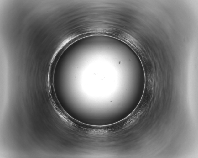 X0000087040788200705021136