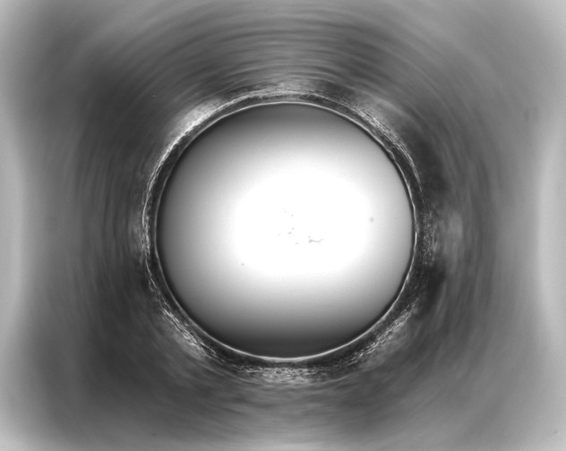 X0000087040789200705021135