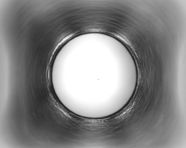 X0000087040790200705021135