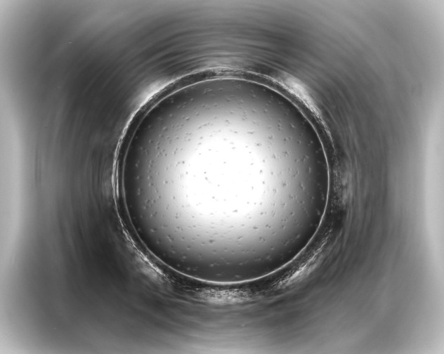 X0000087040791200705021135