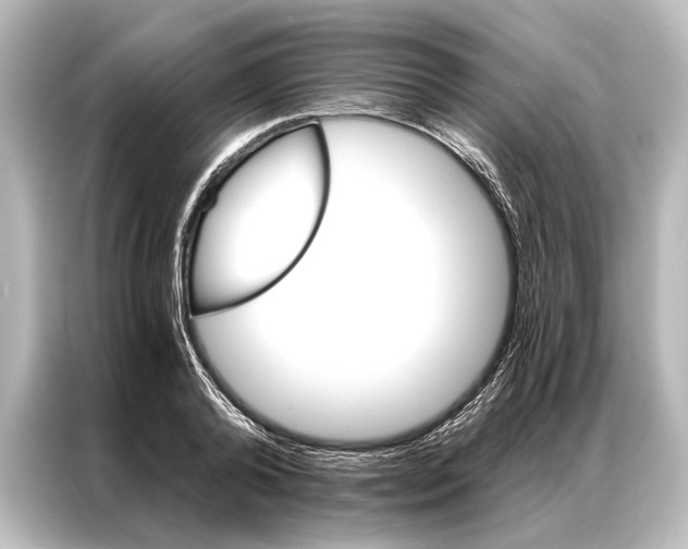 X0000087040792200705021135