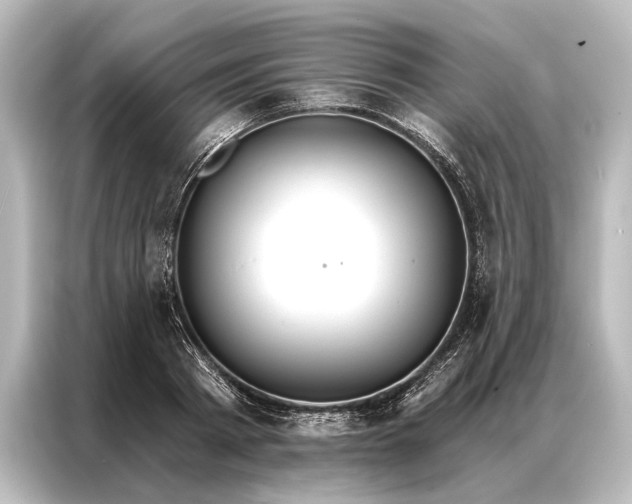X0000087040793200705021135