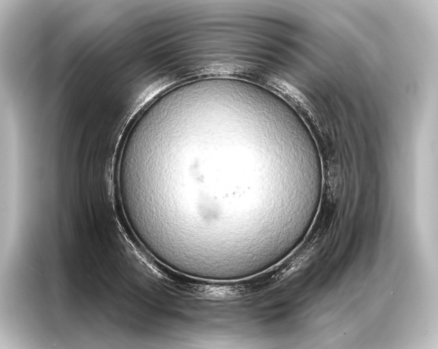 X0000087040794200705021135