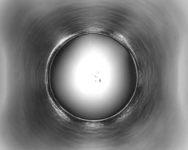 X0000087040795200705021135