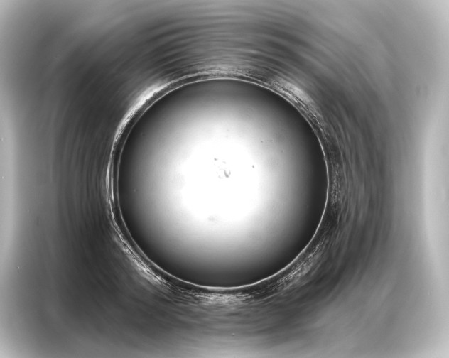 X0000087040796200705021135