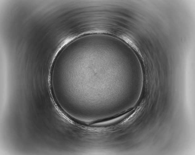 X0000087040797200705021135