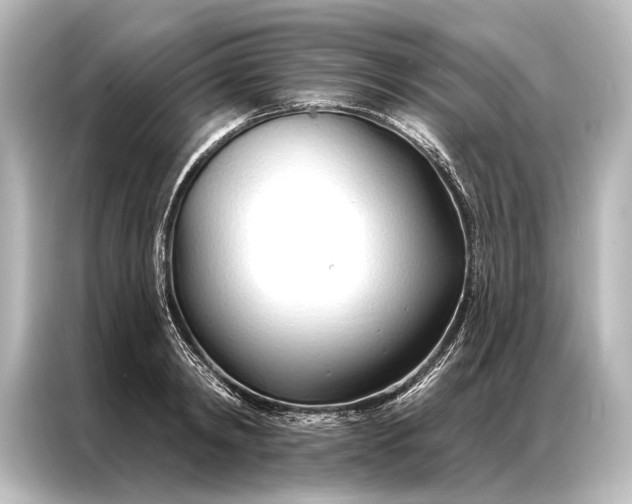 X0000087040798200705021135