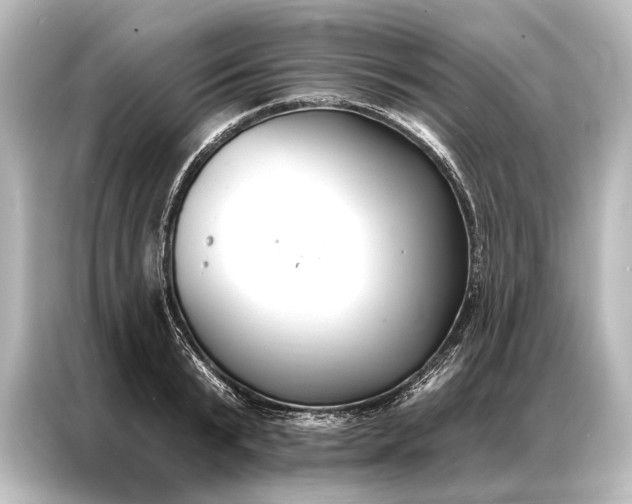 X0000087040799200705021135