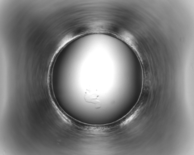 X0000087040803200705021135