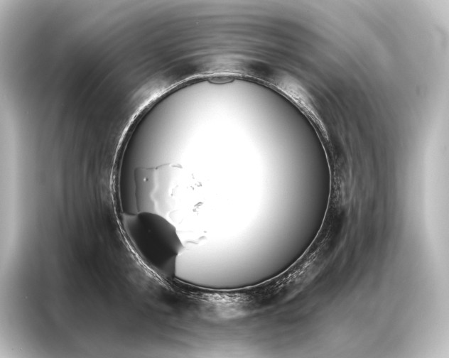 X0000087040805200705021135