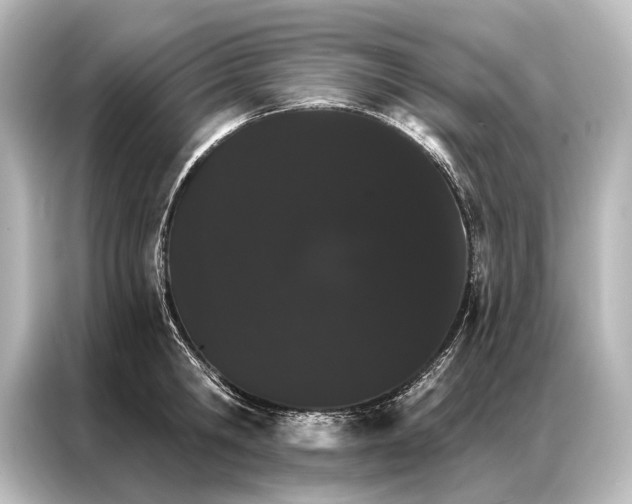 X0000087040806200705021135