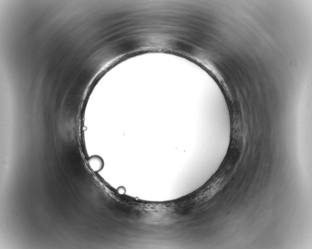 X0000087040807200705021135
