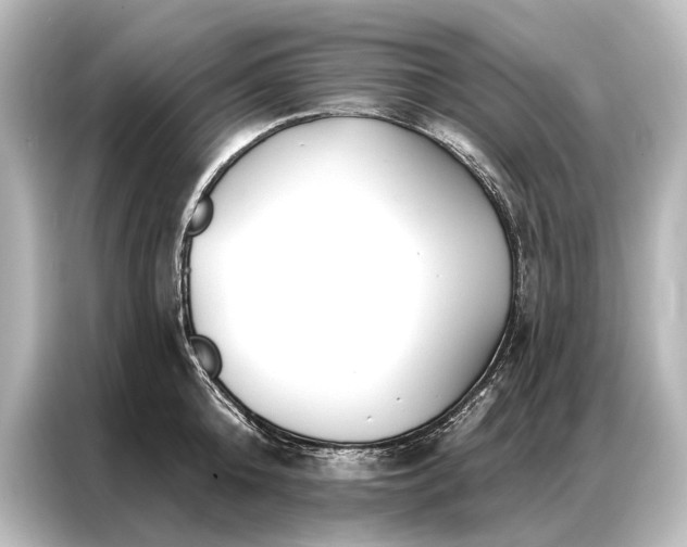 X0000087040808200705021135