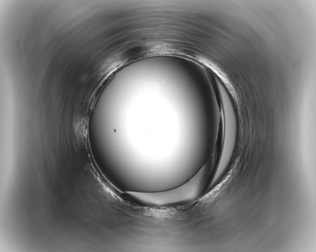 X0000087040809200705021135