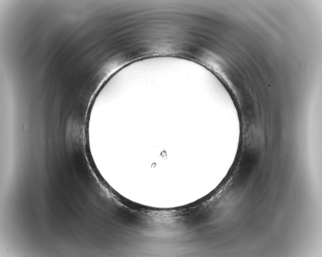 X0000087040810200705021135