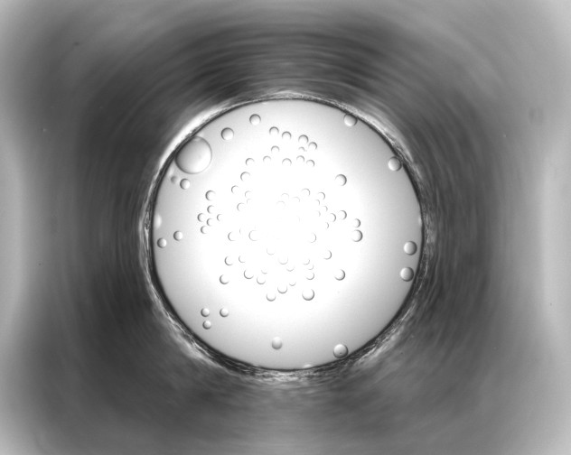 X0000087040814200705021135