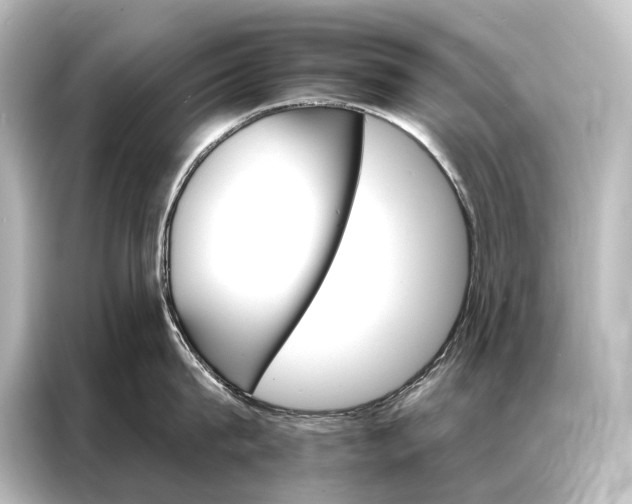 X0000087040815200705021135