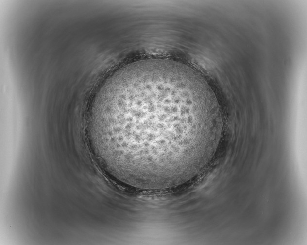 X0000087040817200705021135