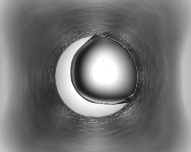 X0000087040818200705021135