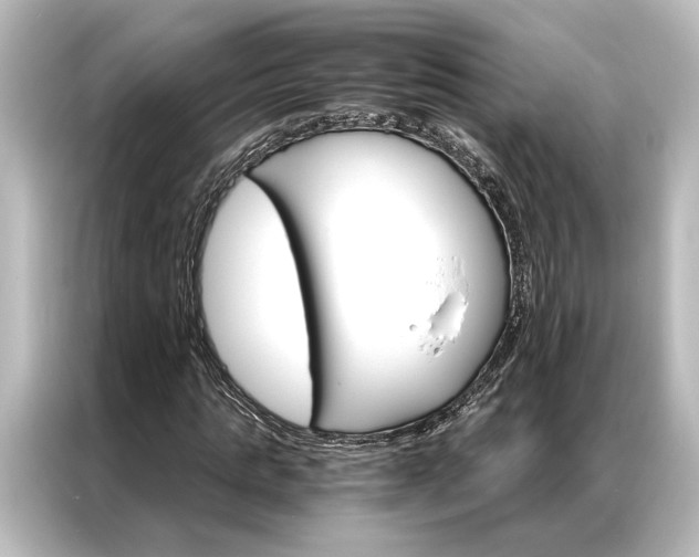 X0000087040821200705021135
