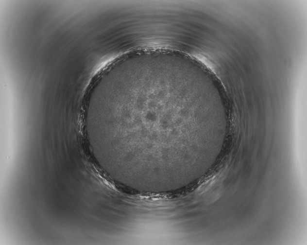X0000087040823200705021135