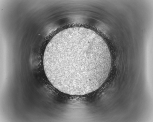 X0000087040824200705021135