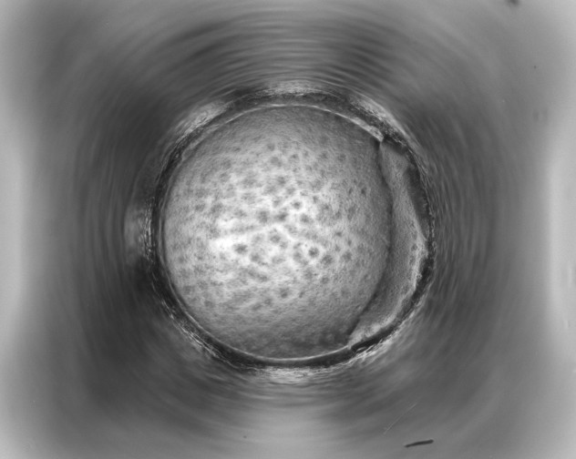 X0000087040825200705021135