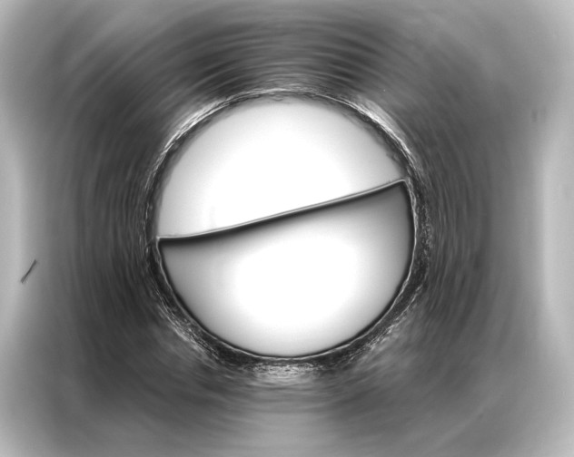 X0000087040826200705021135
