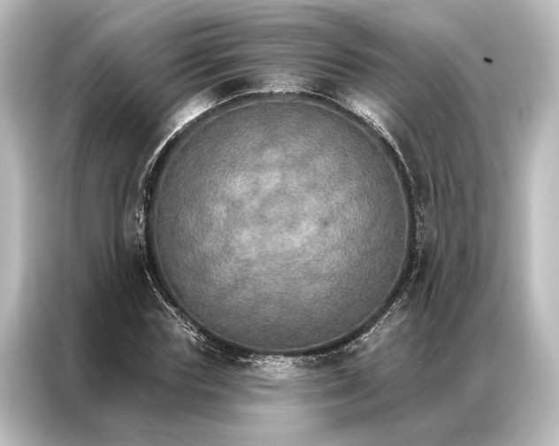 X0000087040827200705021135