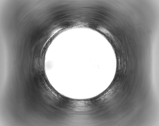 X0000087040828200705021135