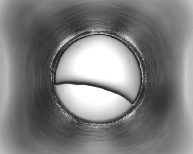 X0000087040829200705021135