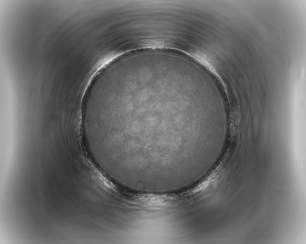 X0000087040831200705021135