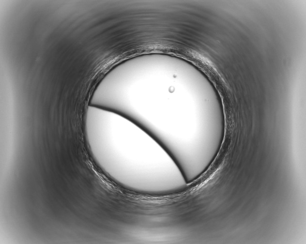 X0000087040833200705021135
