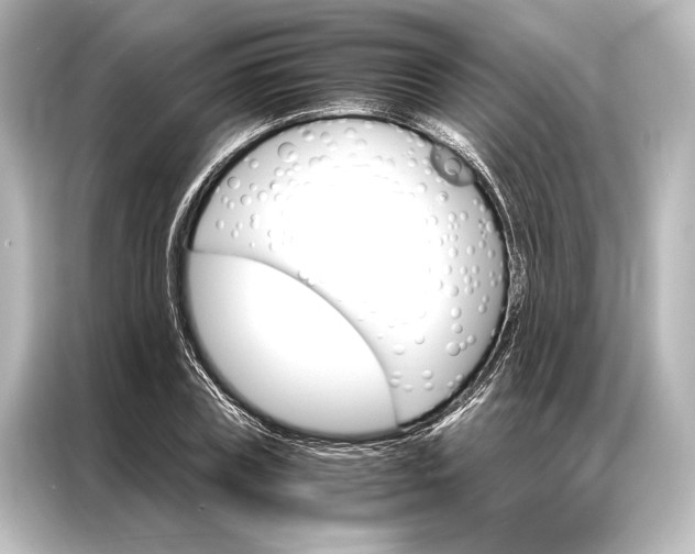 X0000087040835200705021135