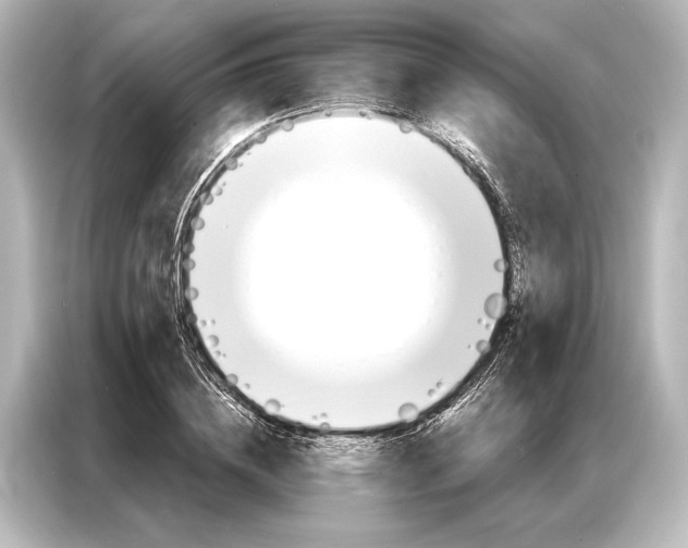 X0000087040836200705021135