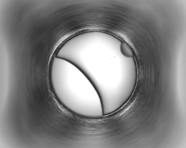 X0000087040837200705021135