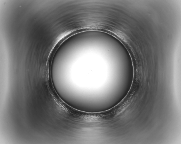 X0000087040838200705021135